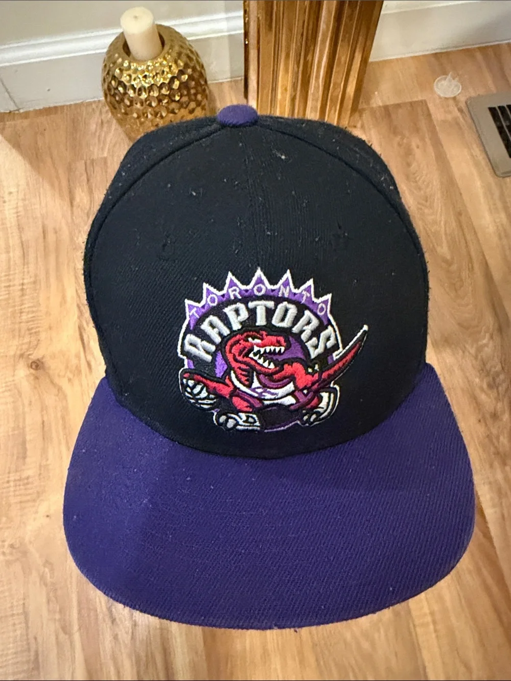 RAPTORS snap back
